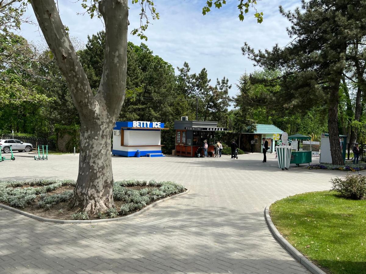Dendrarium Park Apartment Kiszyniów Zewnętrze zdjęcie