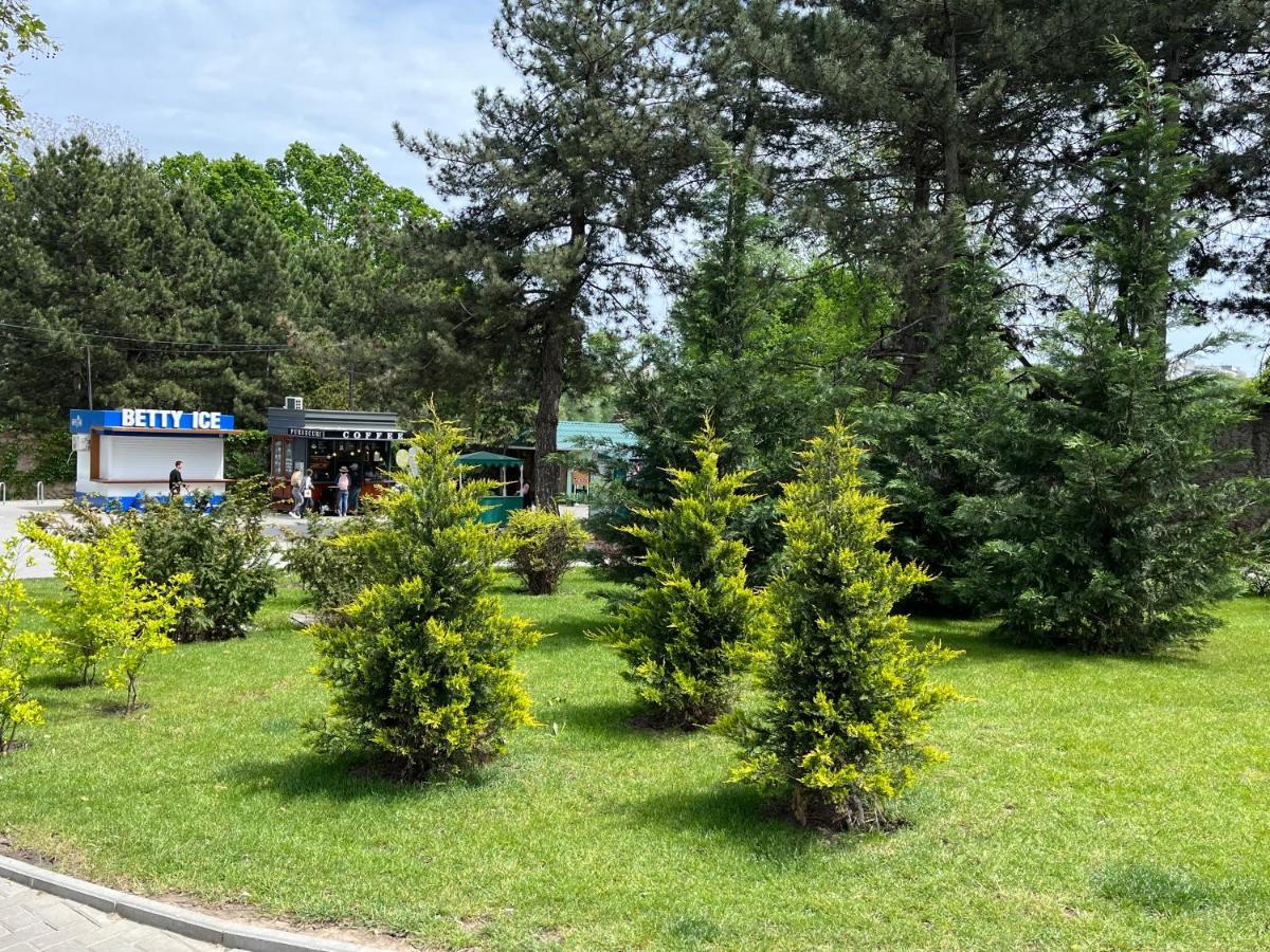 Dendrarium Park Apartment Kiszyniów Zewnętrze zdjęcie
